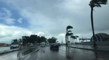 تحذير الأرصاد.. تفاصيل حالة الطقس في مصر غدا ودرجات الحرارة المتوقعة وتأثير الشبورة